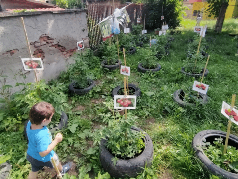 Orto in giardino 1
