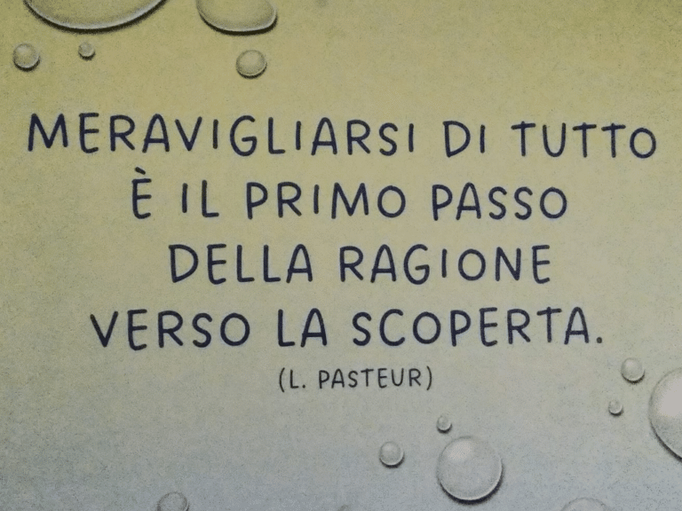 Riunioni nidi 5